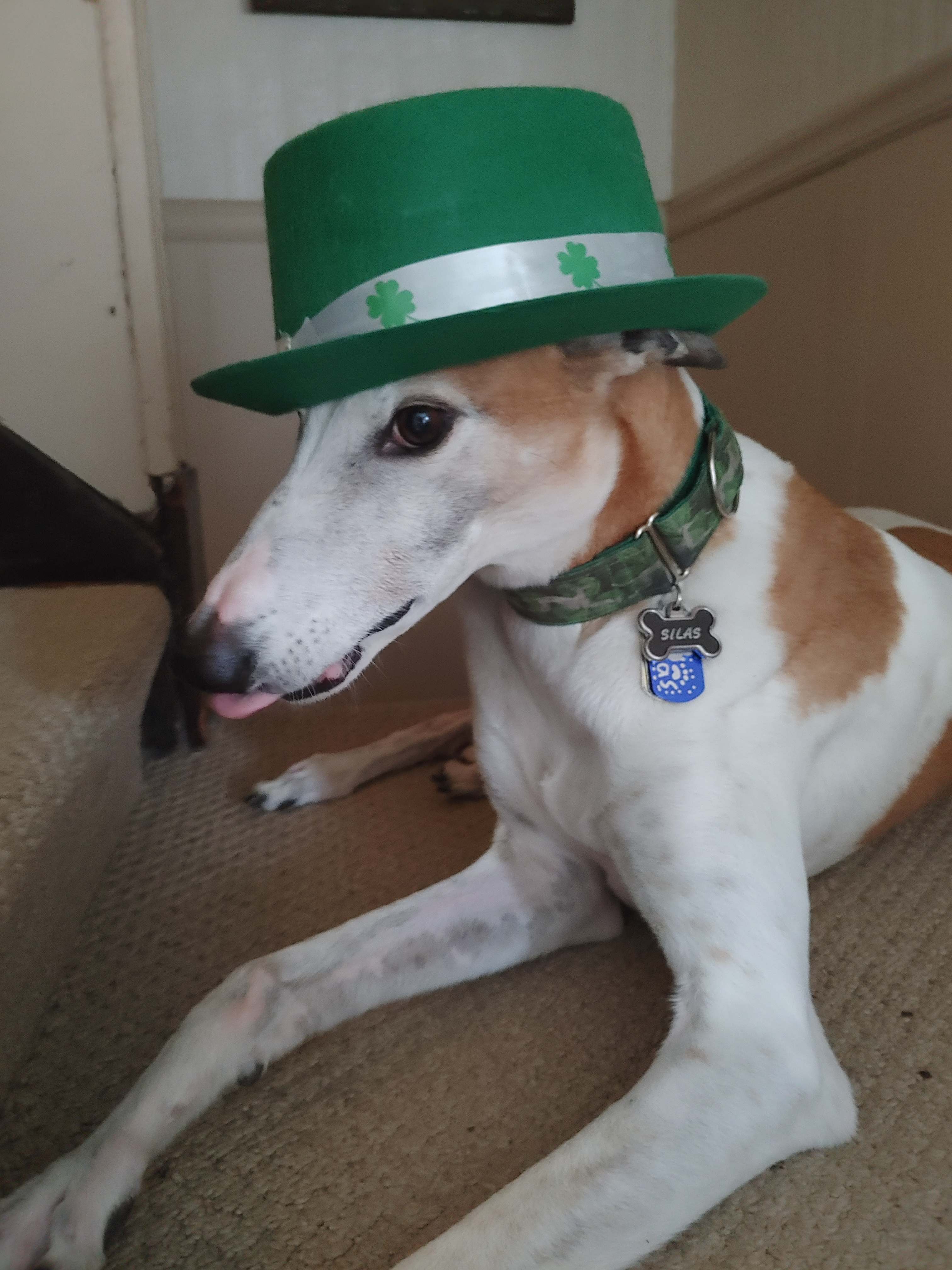 Stpatshat  1 